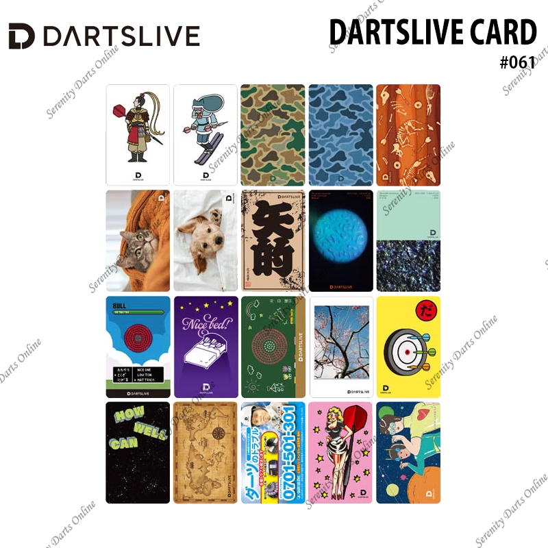DARTSLIVE CARD #061