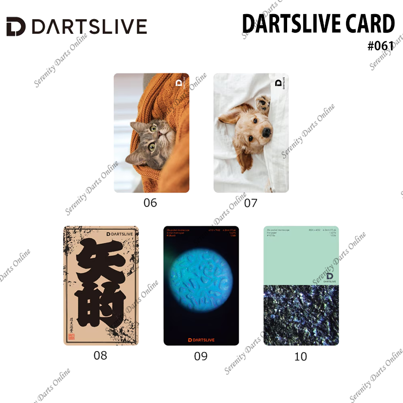 DARTSLIVE CARD #061