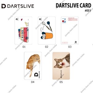 DARTSLIVE CARD #051