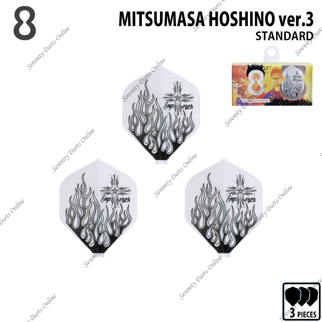 MITSUMASA HOSHINO ver.3